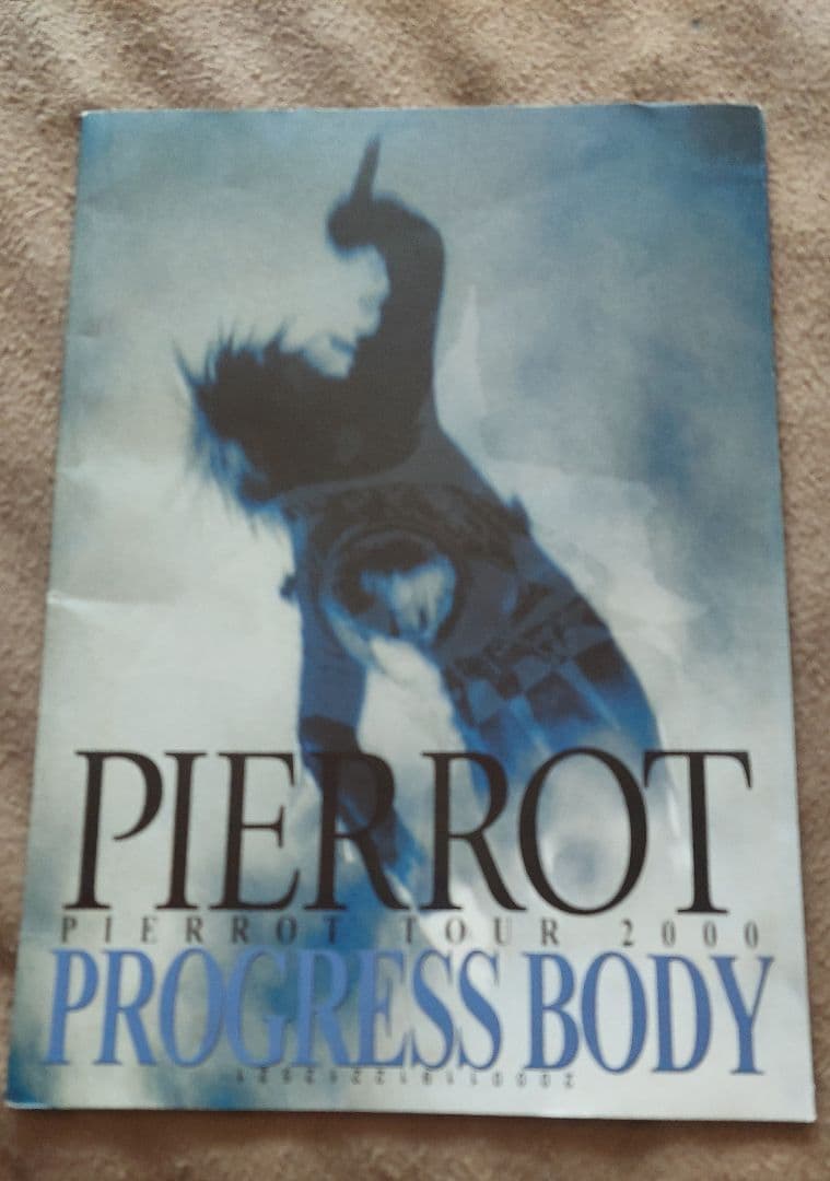 PIERROT ツアーパンフレットセット(12種類分)