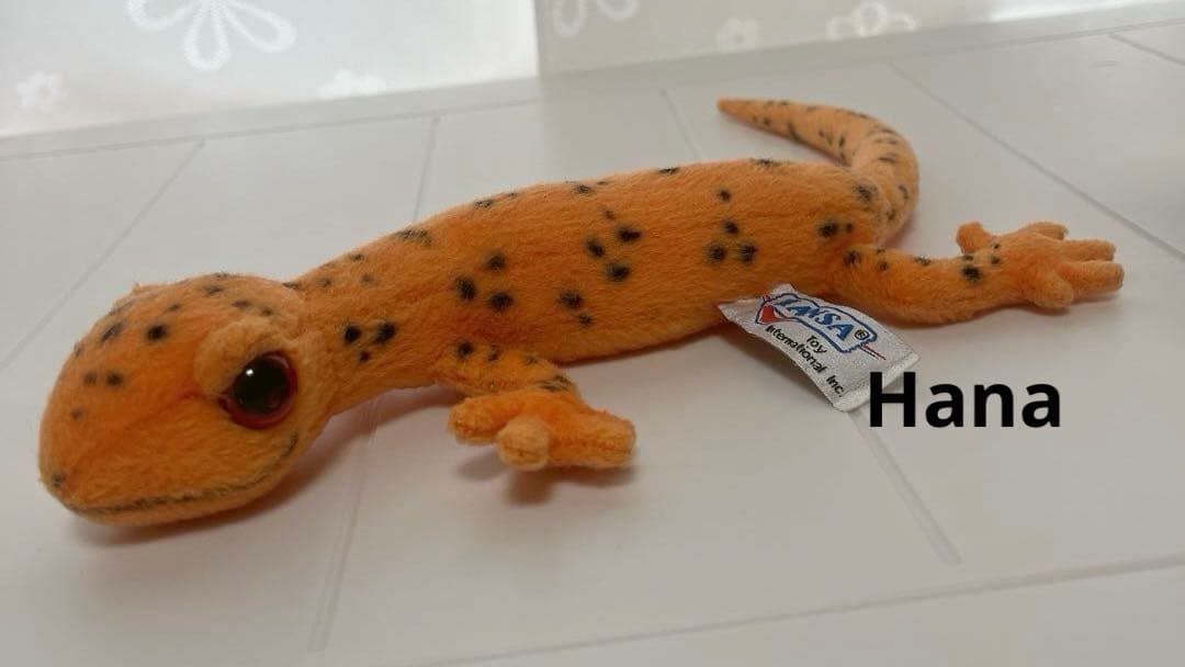 激レア⁉︎ 入手困難！ HANSA ハンサ アカブチサンショウウオ ぬいぐるみ