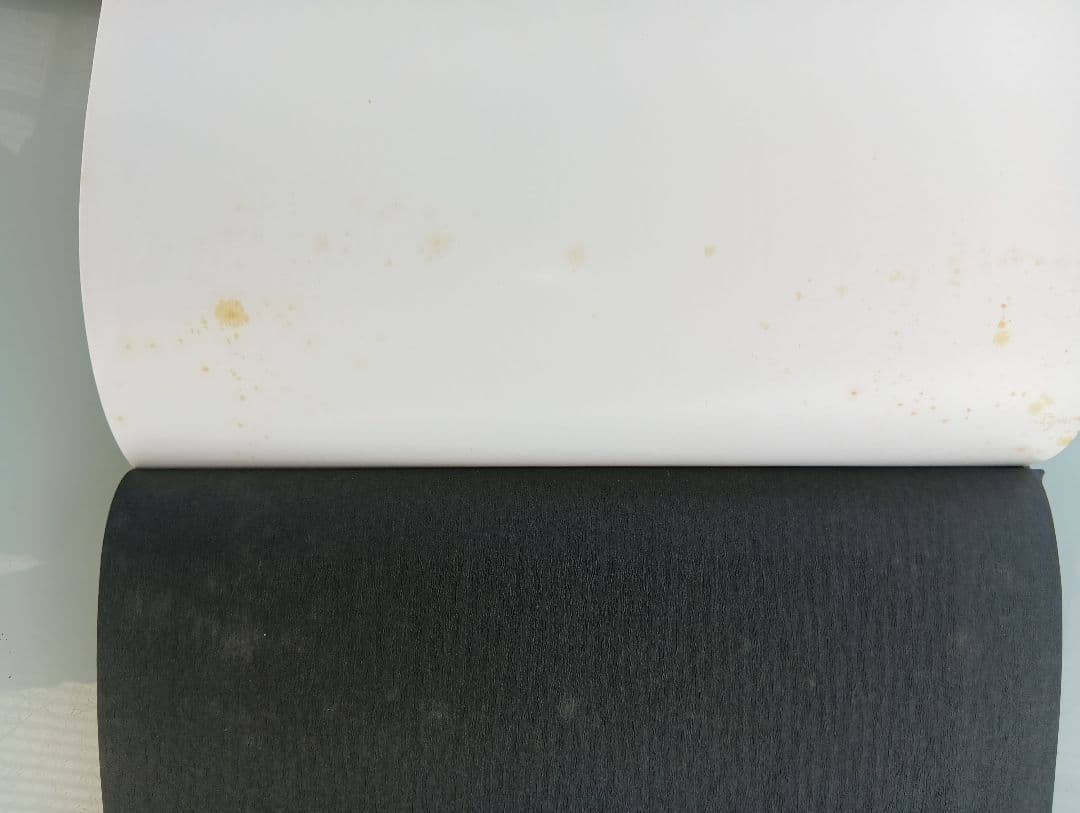 日本刺青芸術 彫芳 第2巻　入墨　刺青