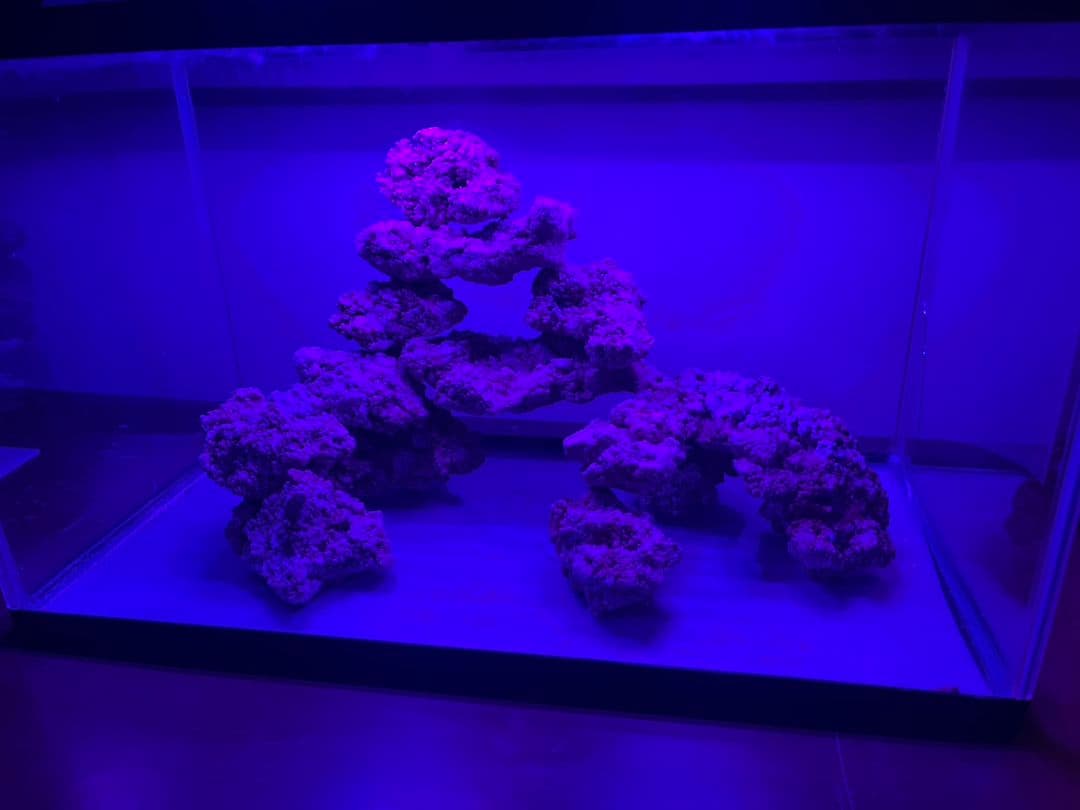 人工ライブロック　60cm水槽ぴったりセット