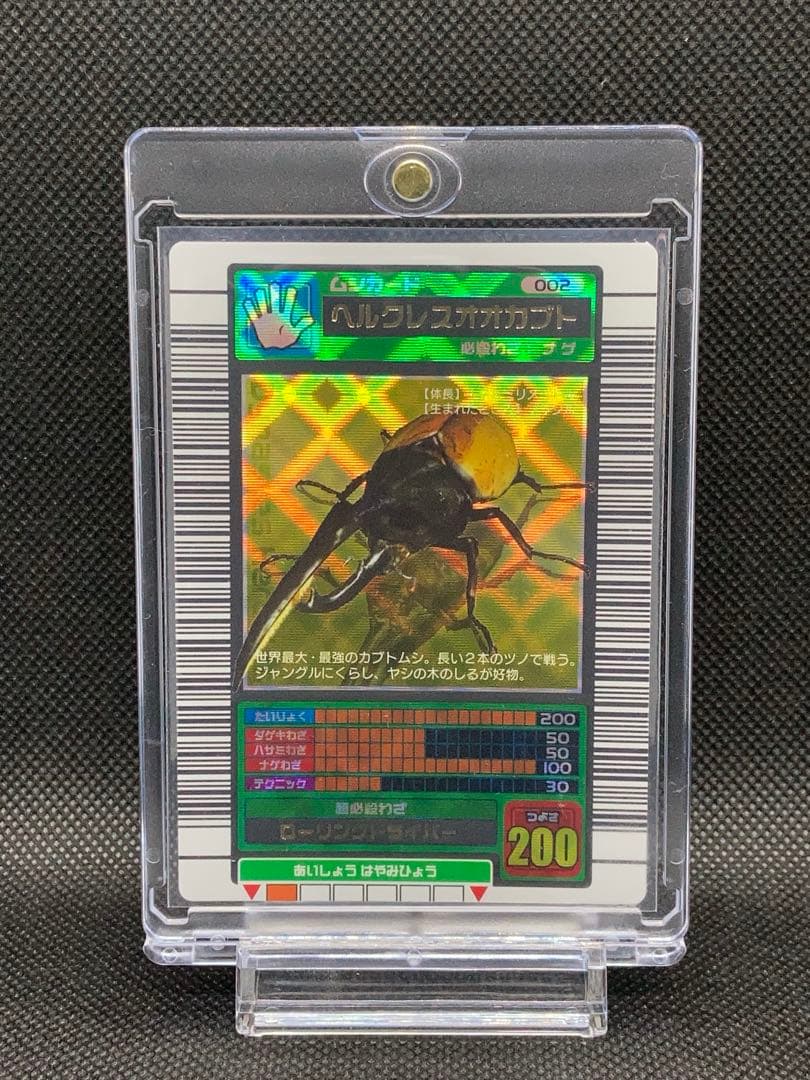 またこ ヘルクレスオオカブト2003 SPRING春 学名黒バーコードキラ