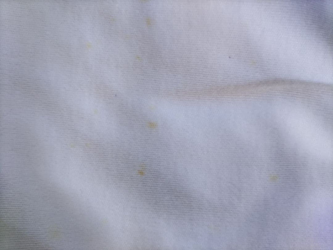 ザッ※ー 半袖体操シャツ 8着