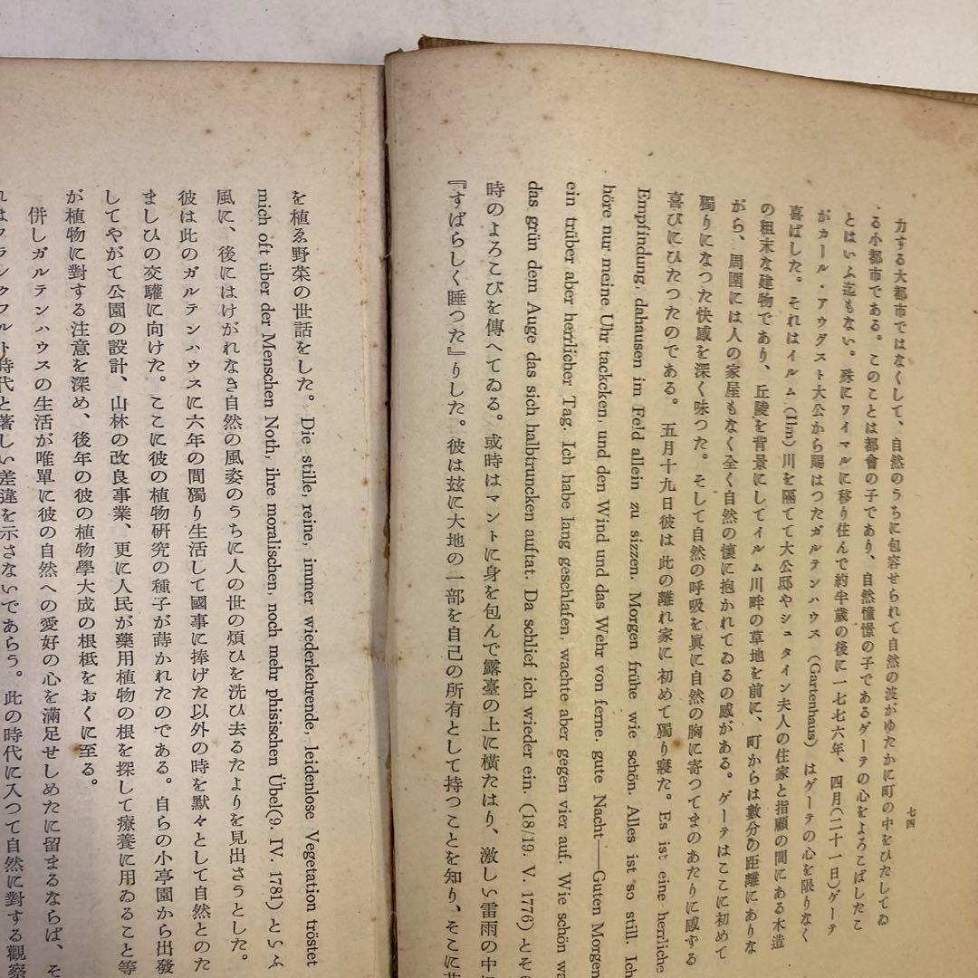 ✴︎【古書・極めて希少本】ウル・マイステル研究　木村謹治　弘文堂書房