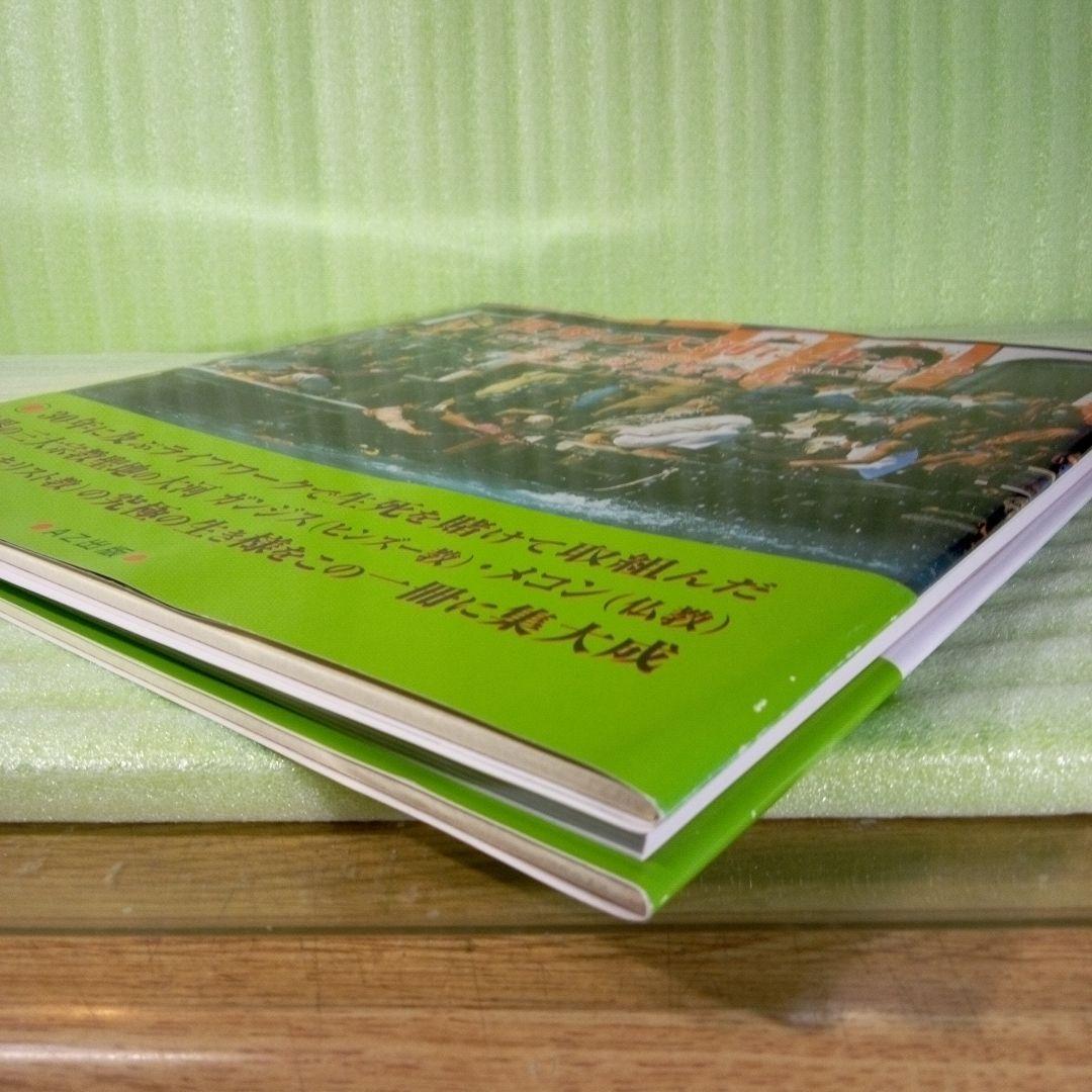 世界の大河に生きる ＧＡＮＧＥＳ・ＭＥＫＯＮＧ・ＡＭＡＺＯＮ 橋本僐元写真集