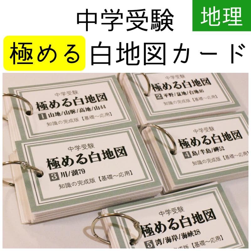 みまみわ様　4点　中学受験　暗記カード
