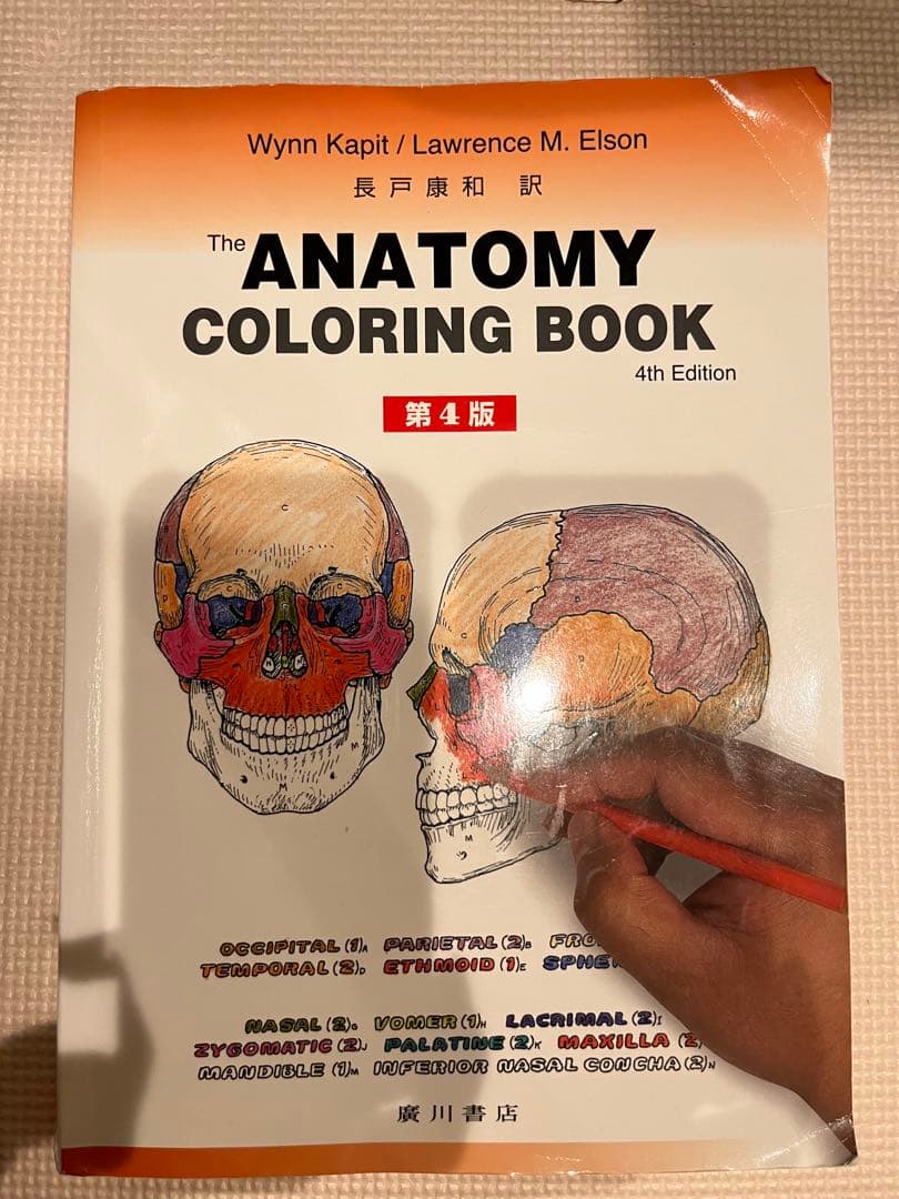 言語聴覚士 基礎分野 教科書 まとめ売り