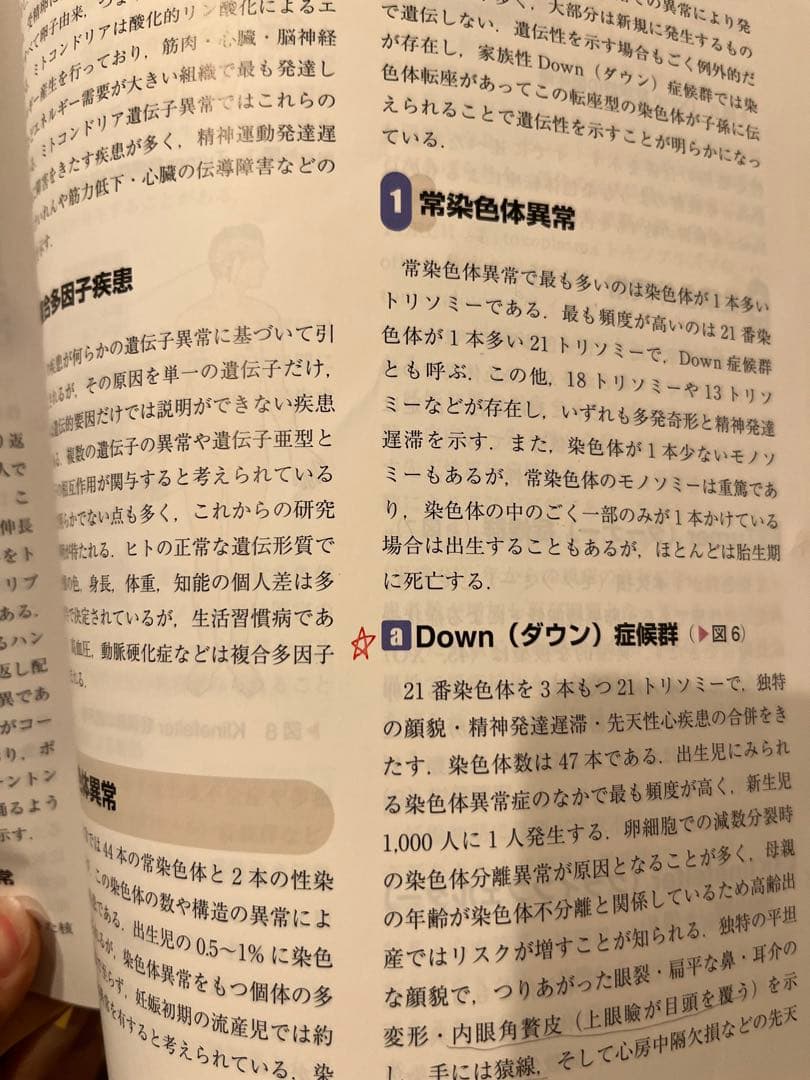 言語聴覚士 基礎分野 教科書 まとめ売り