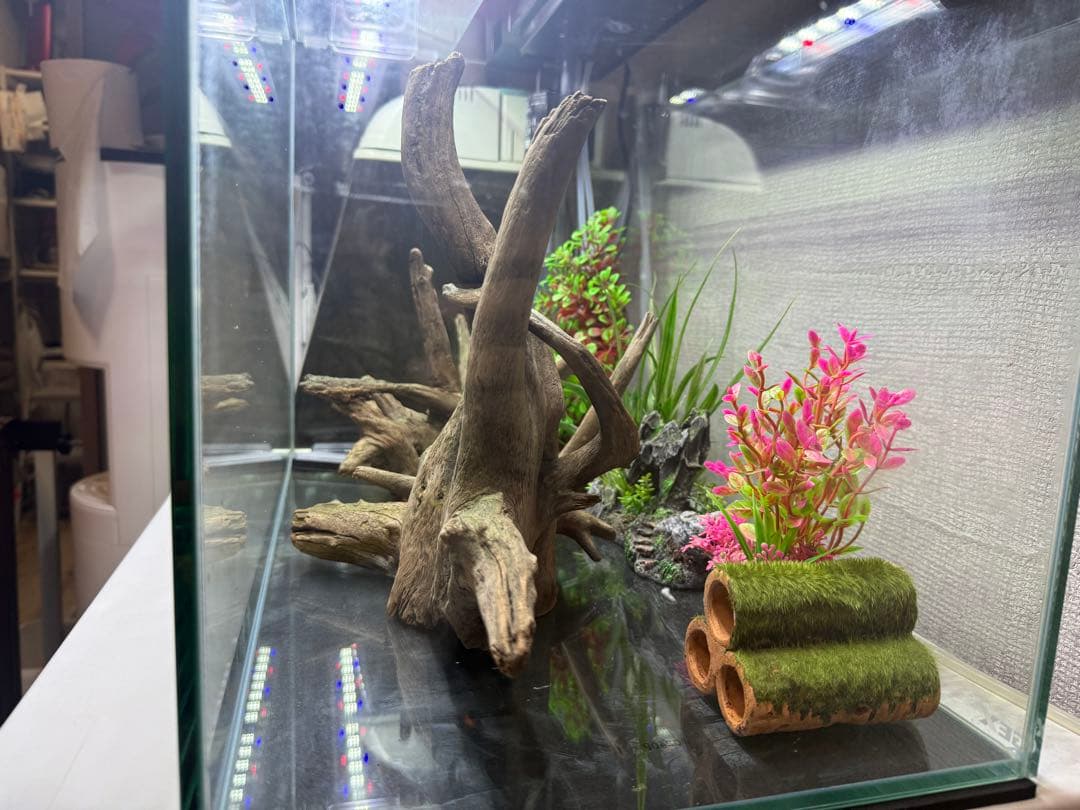 水槽　セット販売　60センチ水槽　流木2個　その他