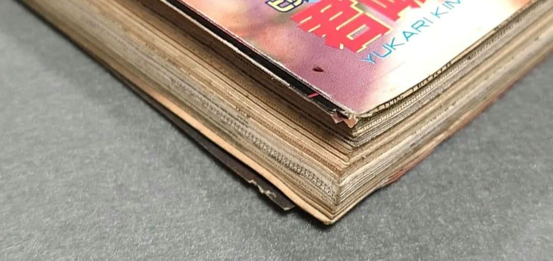 ヤングアニマル1998年6号ベルセルク巻頭カラー/第117話/三浦建太郎