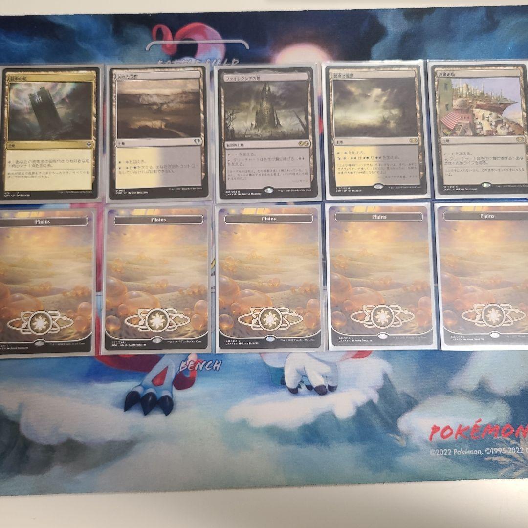 構築済み　統率者デッキ　白黒　テイサ・カルロフ