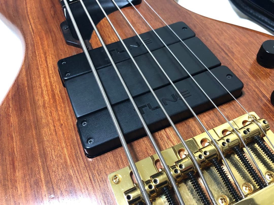 TUNE TWB-6 Fretless MOD 6弦フレットレスベース