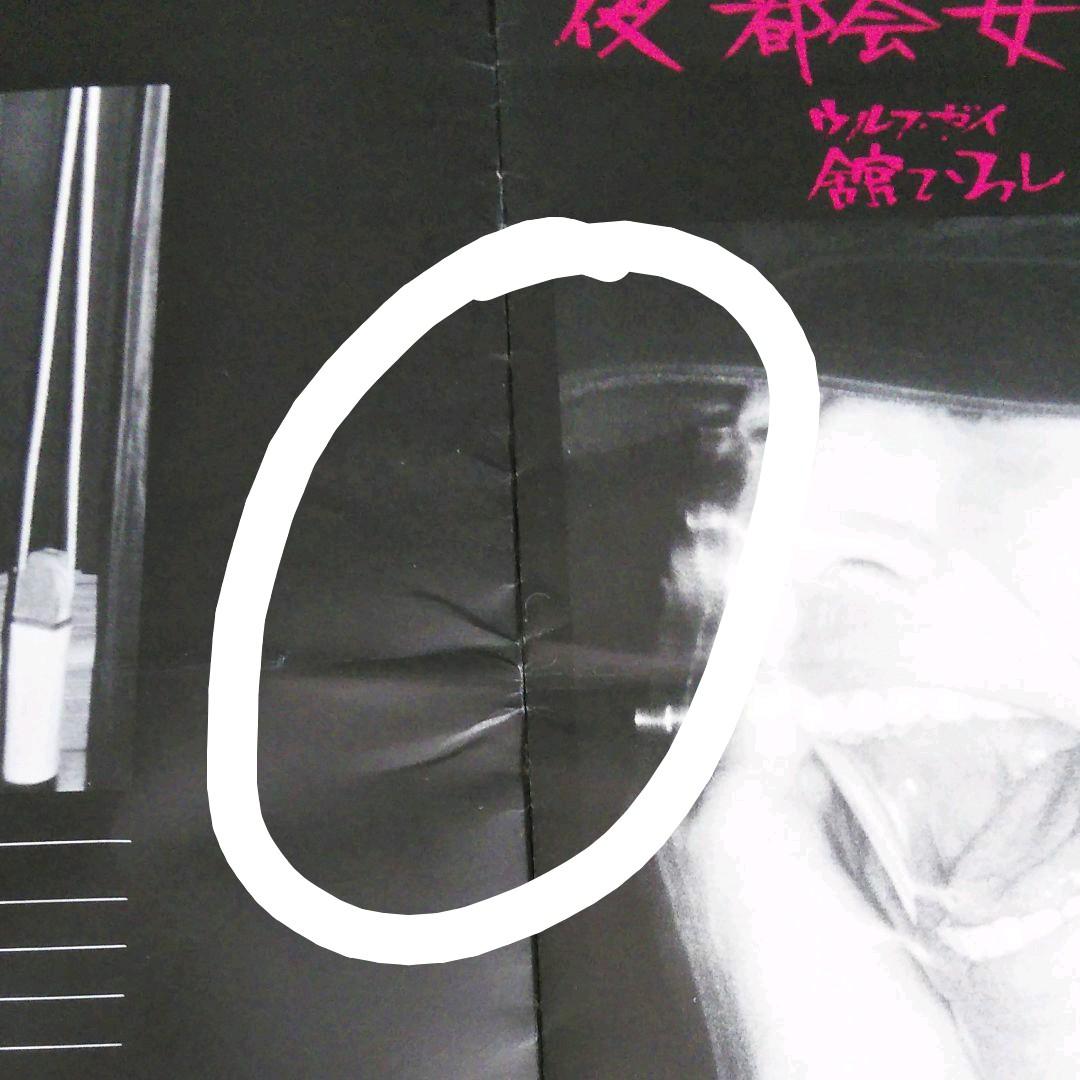 舘ひろし　THE  SEXY  DYNAMITE　ツアー　パンフ　希少