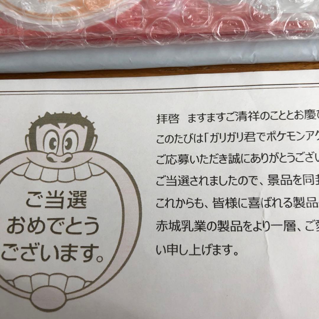 ポケモン ガリガリ君 アクリルスタンド ダンデ&リザードン 当選品 限定品 新品