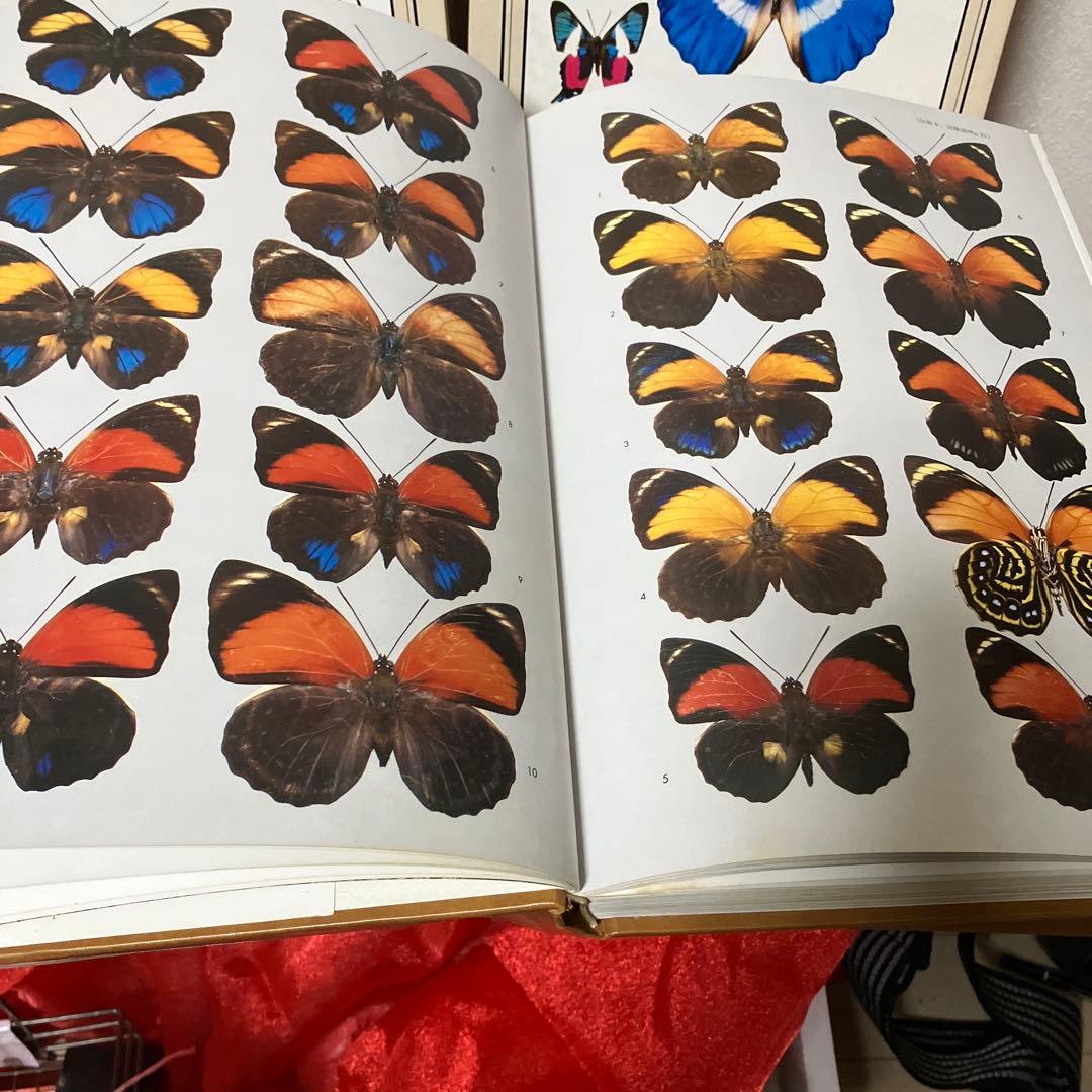 世界の昆虫1〜6図鑑