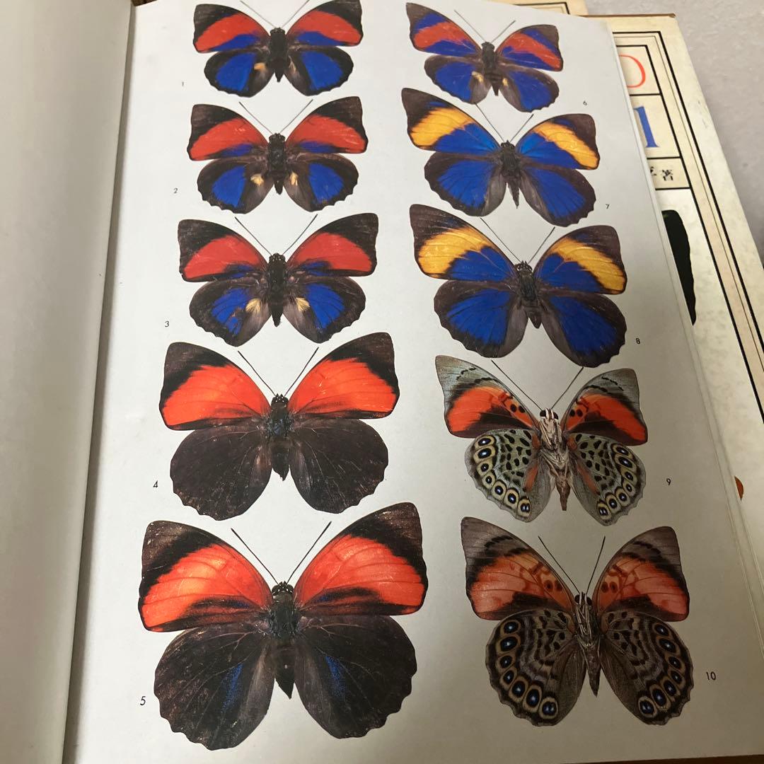 世界の昆虫1〜6図鑑