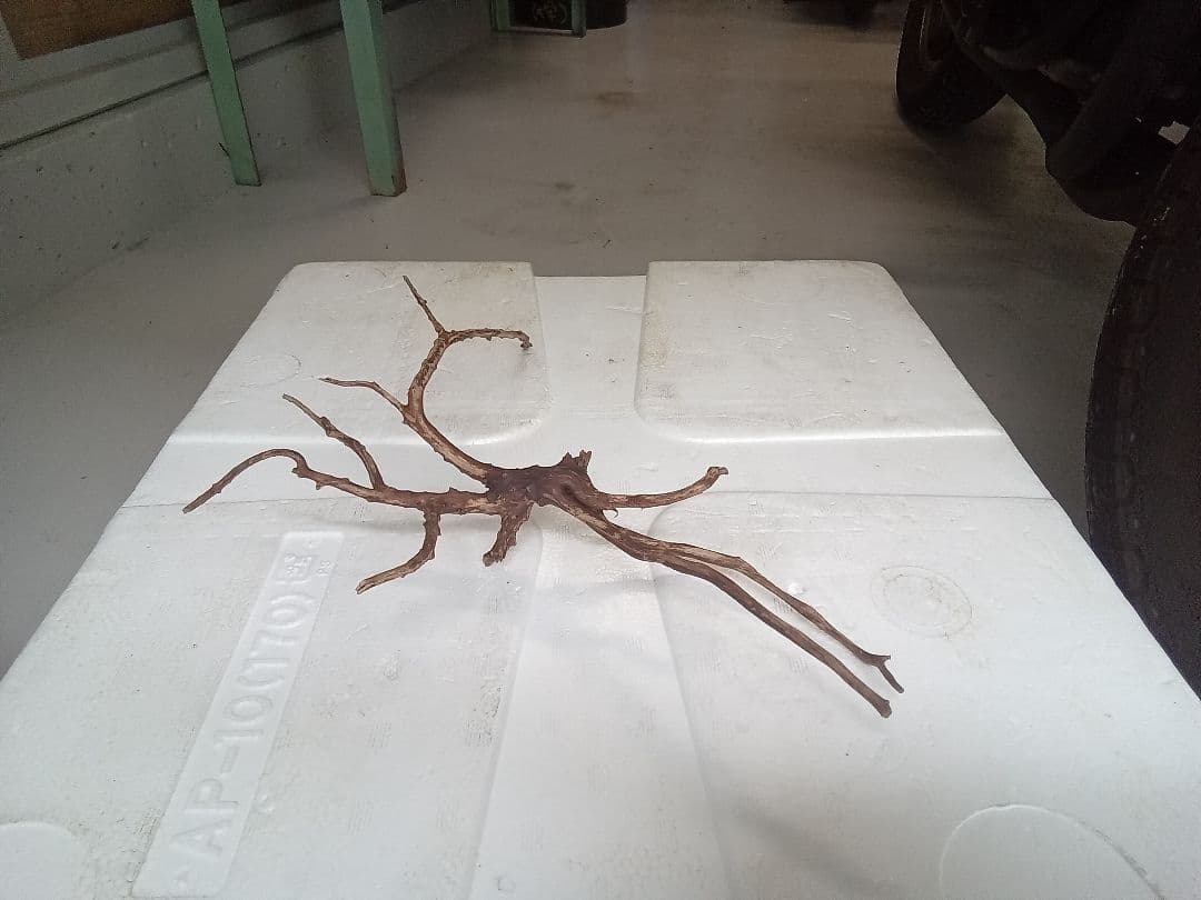 流木　詰め合わせ