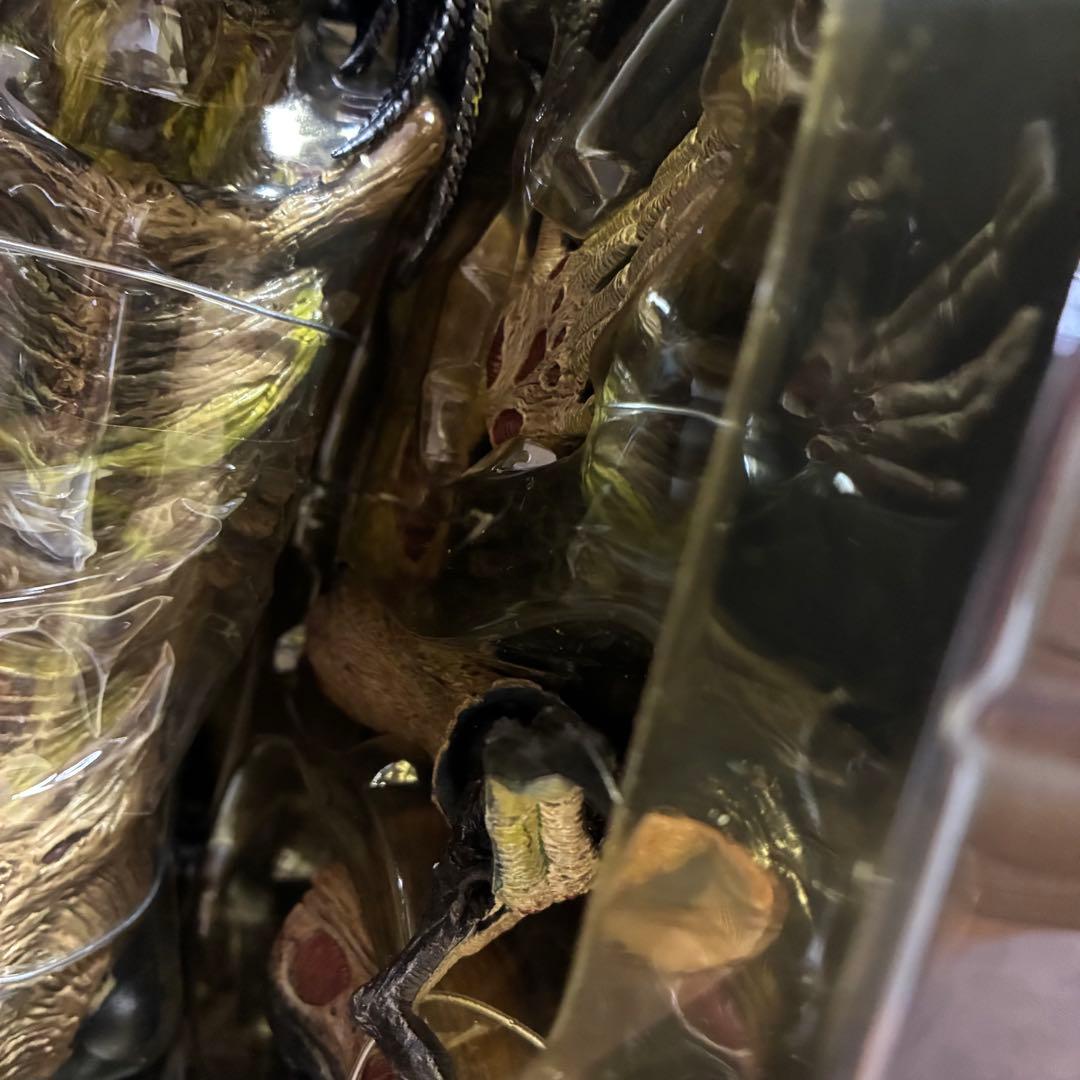 AVP2 エイリアンズVSプレデター　完全版　コレクターズBOX プレデリアン