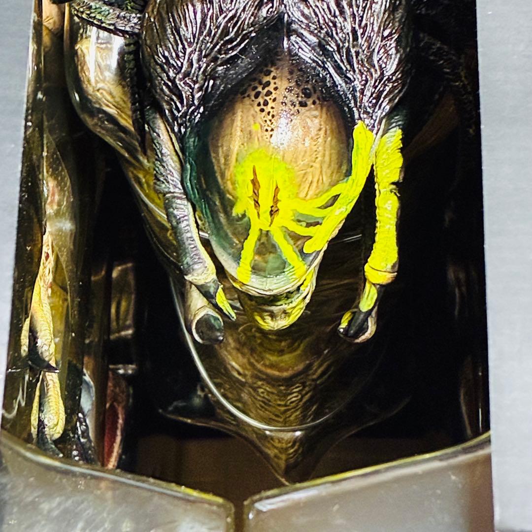 AVP2 エイリアンズVSプレデター　完全版　コレクターズBOX プレデリアン