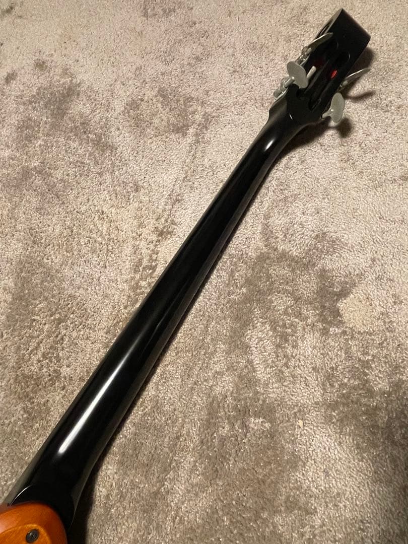 Aria SWB-02 Fishman ピックアップ搭載 ケース付き