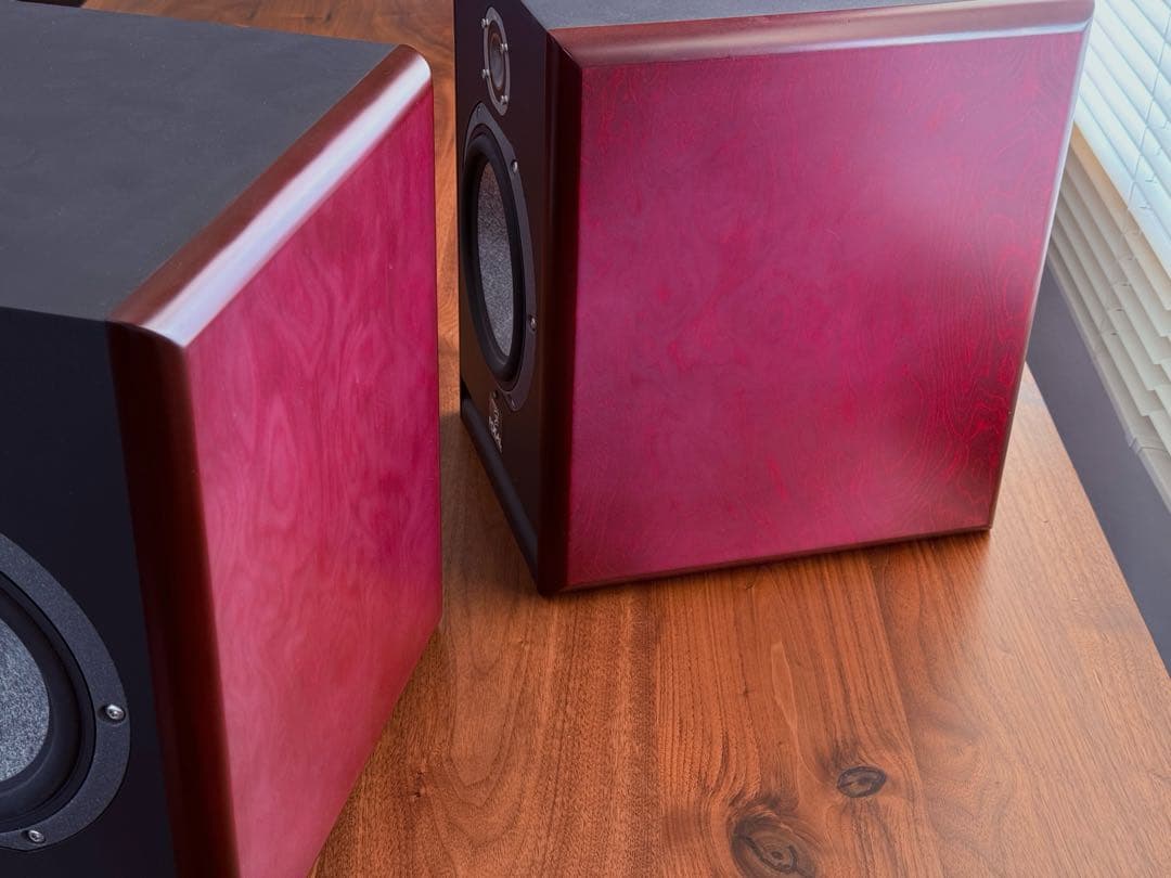 Focal Solo6 be ペア