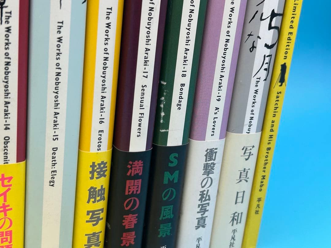 林*ダ様 荒木経惟写真全集 全20巻　「さっちんとマー坊」 全て初版