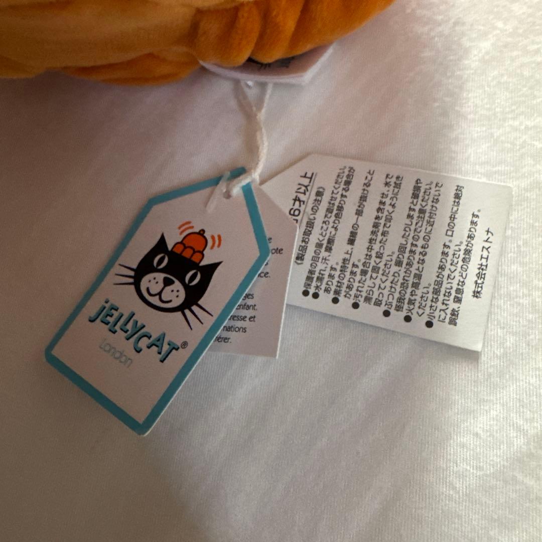 新品　ジェリーキャット　かぼちゃ パンプキン 野菜 カボチャ　pumpkin