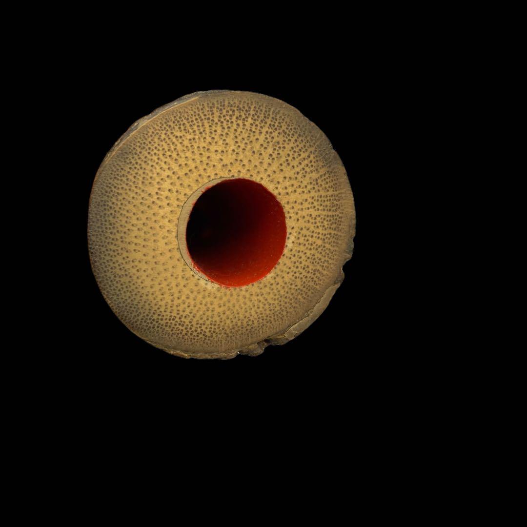 銘あり　尺八　朱塗り　動作保証