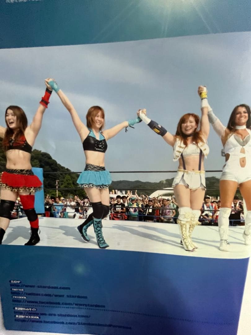 スターダム観戦ガイドブック 紫雷イオ、岩谷麻優、サンダーロックカード付き