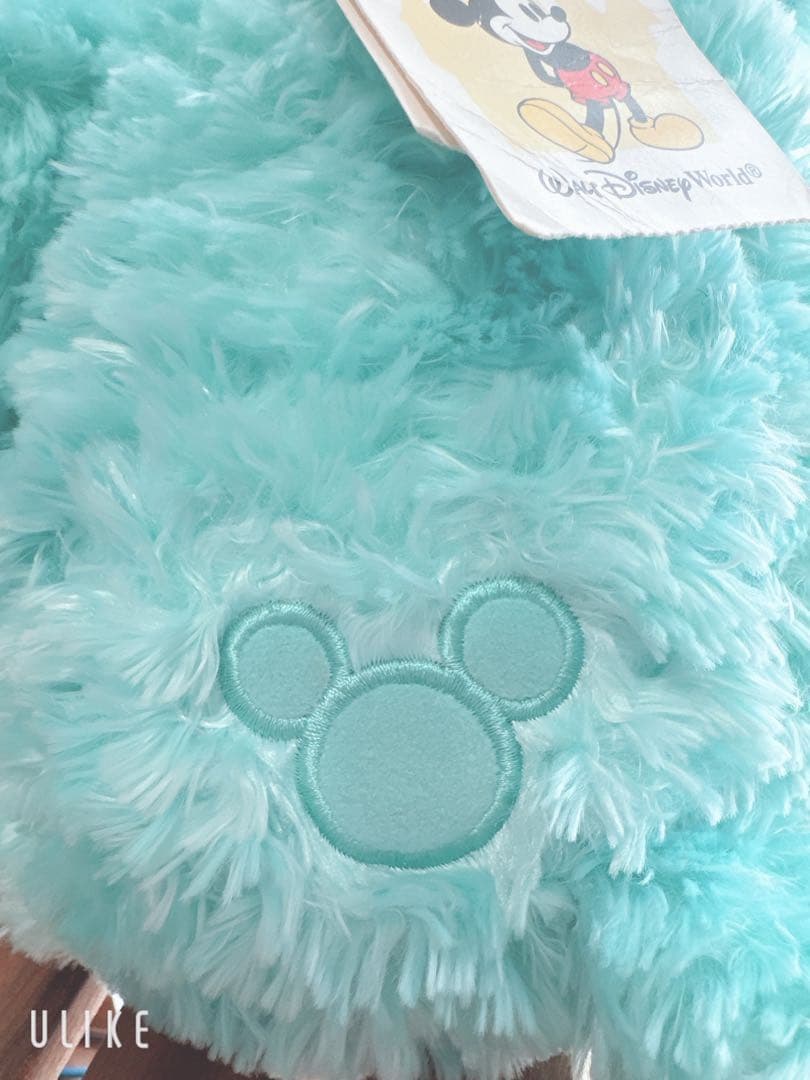 wdw ダッフィー ミント　ディズニーベア　ぬいぐるみ