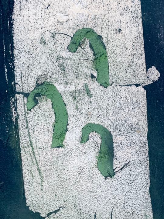 辻村史朗　油絵　四号　「蕨」