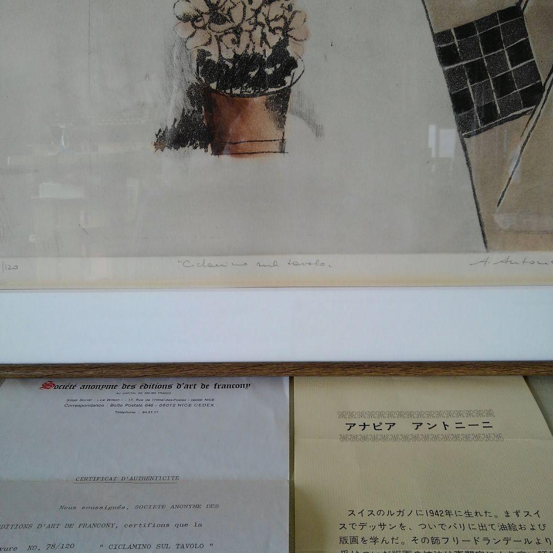 新春セールアナピア　アントニーニ　リト