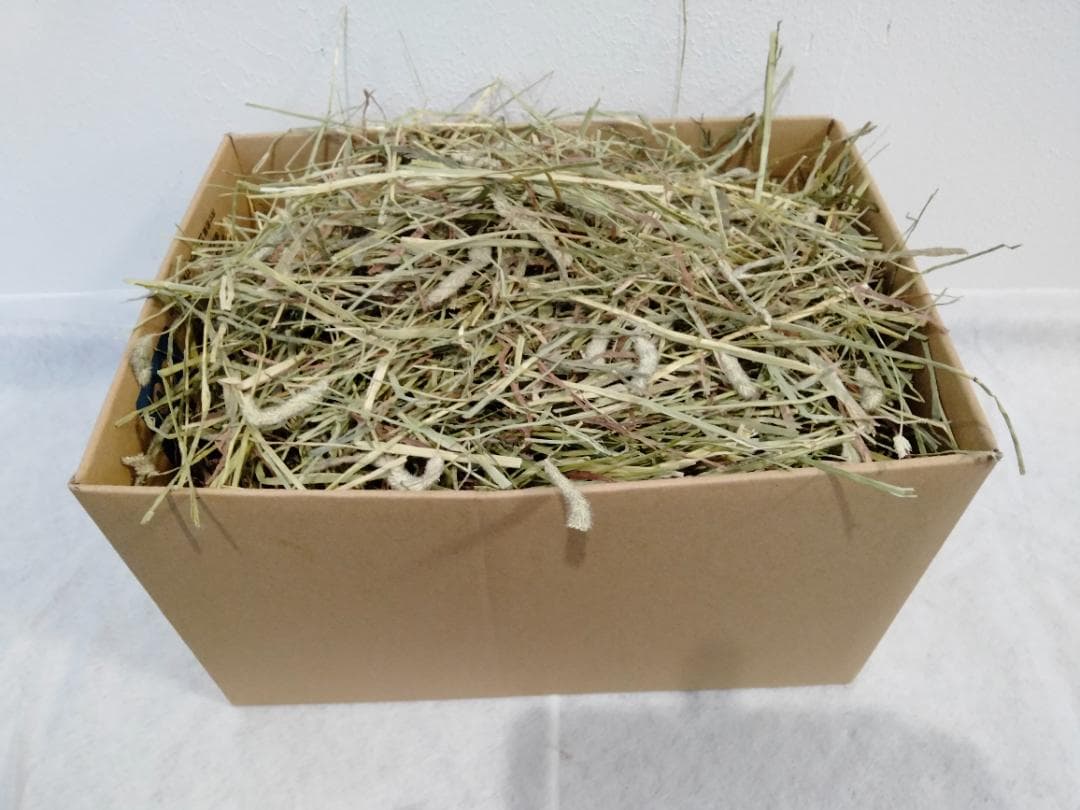 US産 チモシー 40kg ２番刈 ソフトスーパープレミアム