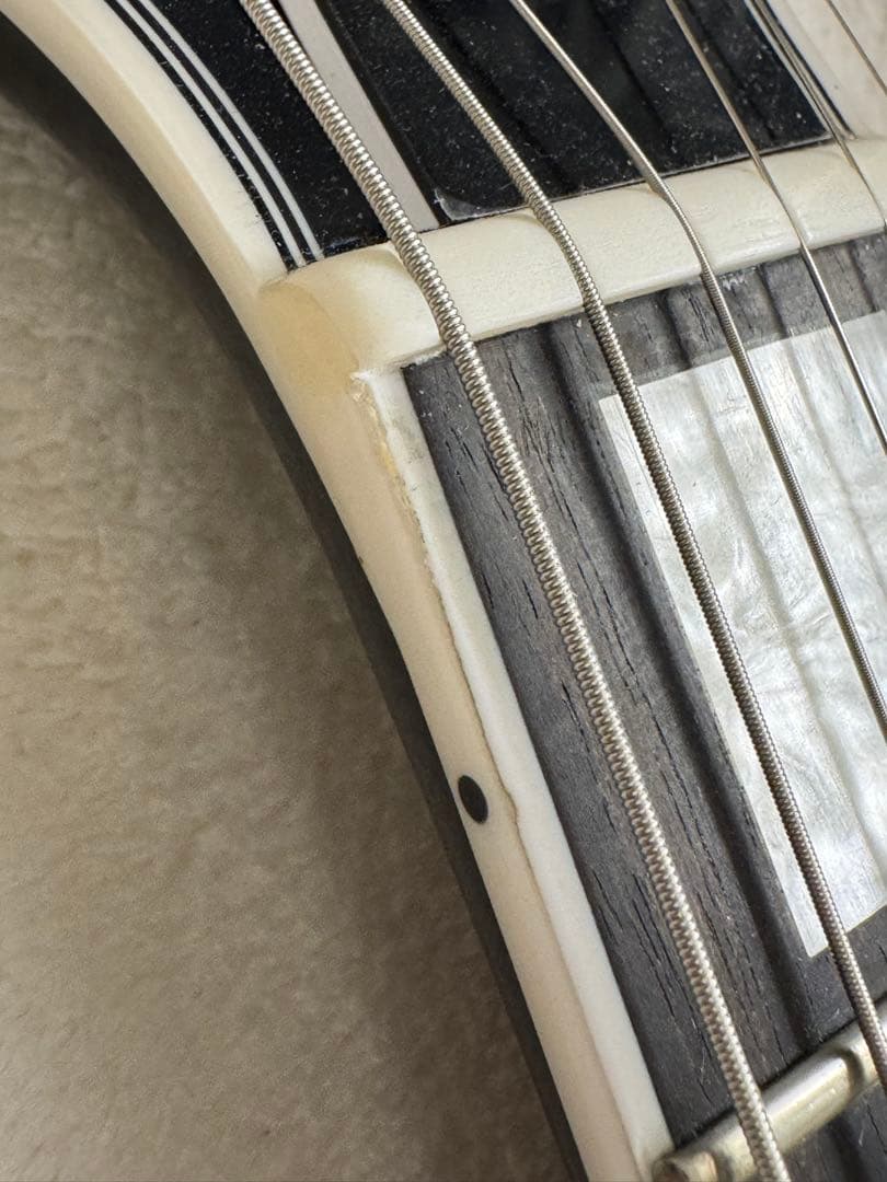 EDWARDS エドワーズ　E-LP-CTM/P レスポール