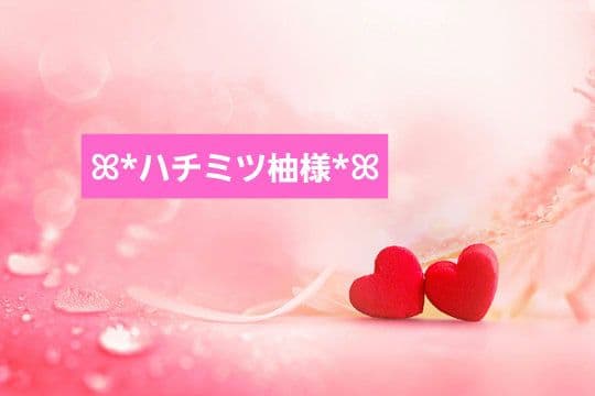 ◎12月特典◎ꕤ*ハチミツ柚出品*ꕤ