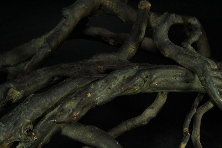 奇木 時代 根木 飾り台 自然木 55cmx30cm(K-RC951)