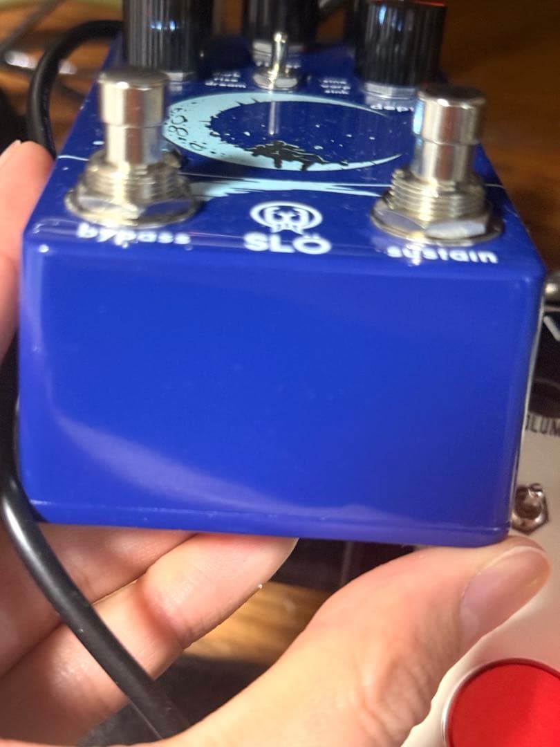 Walrus Audio Slo クローン