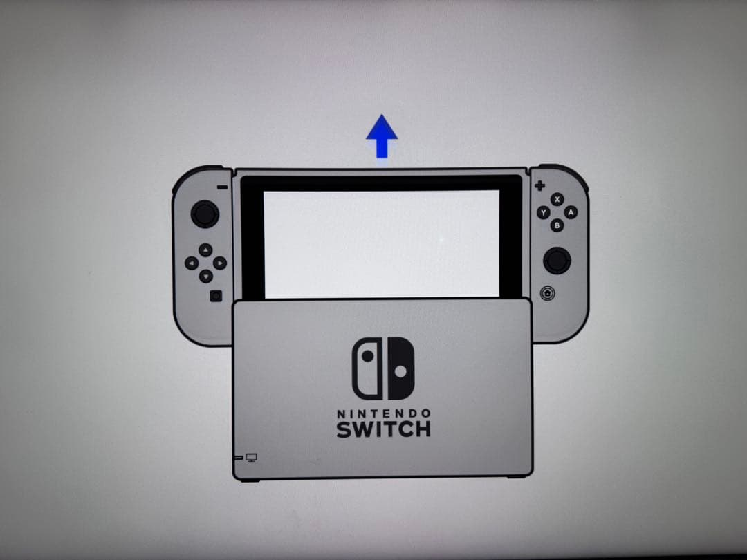 Switch モンスターハンターライズ スペシャルエディション 限定プロコン 他