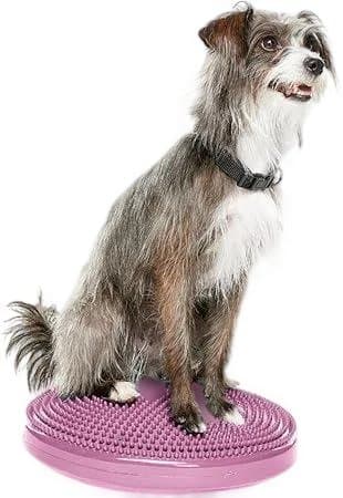 ★3個セット（1個未開封）★犬用アジリティグッズ FitPAWSバランスディスク