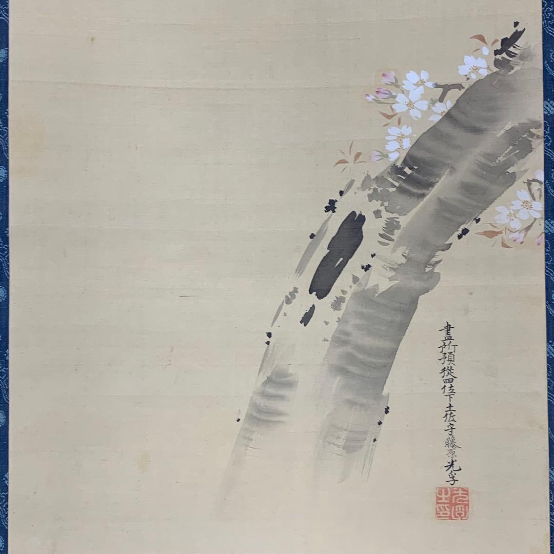 掛軸 土佐光孚 朝日に桜 木箱 2-51