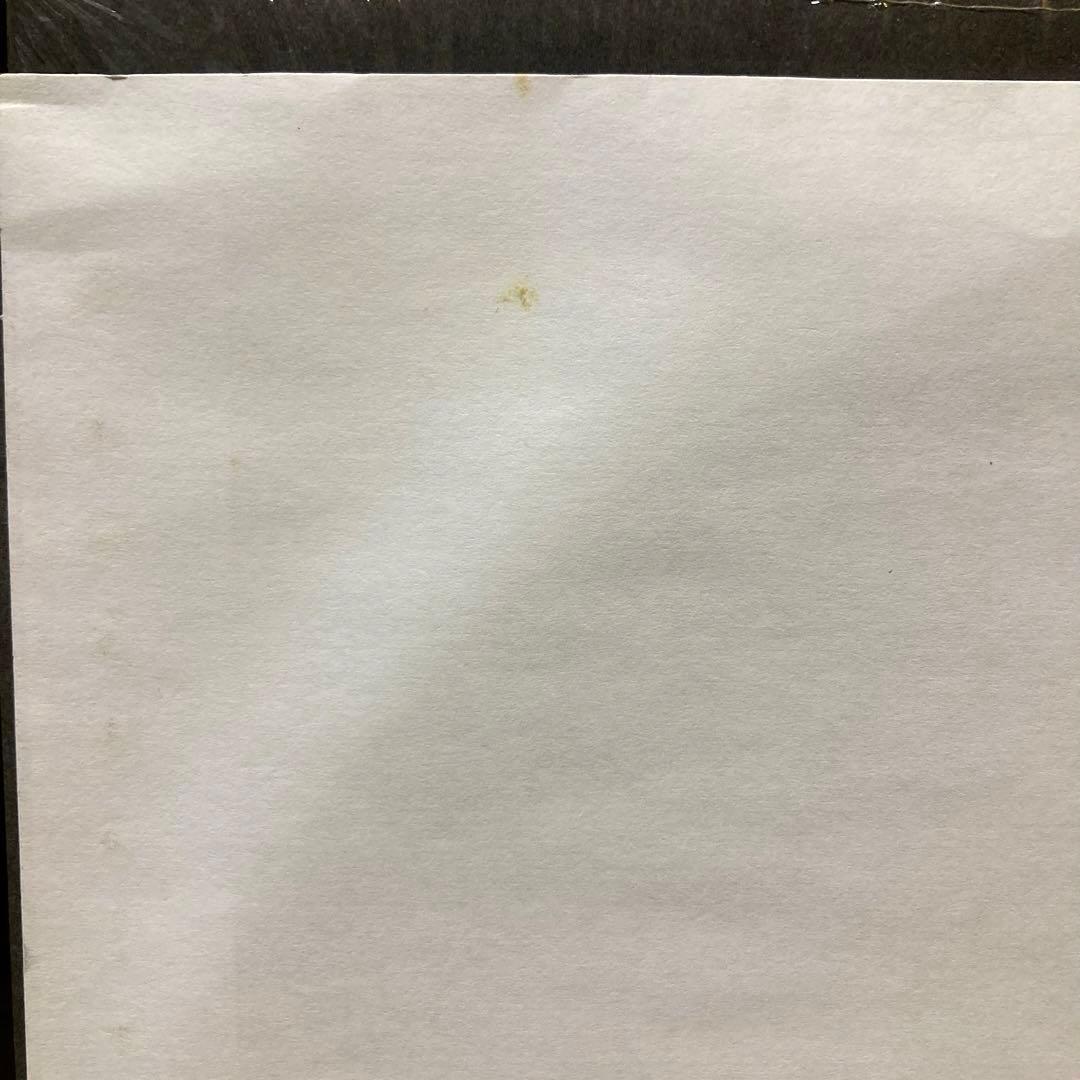 James Blake Overgrown ジェイムス・ブレイク レコード LP