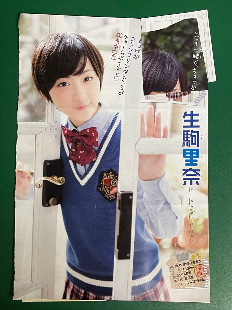 生田絵梨花、生駒里奈　サイン入り 生チェキ,写真 抽プレ 当選通知書 乃木坂46