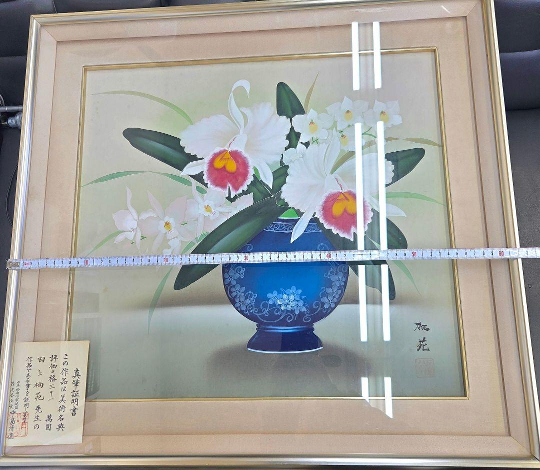 日本絵画　田上栖苑 洋蘭　カトレア 絵画
