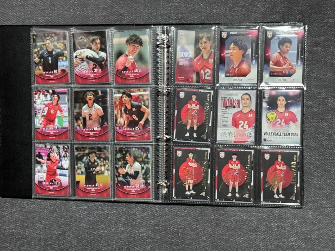 男子バレー 日本代表チーム 直筆サイン入り 金箔サイン カードセット