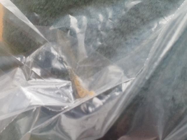 デリ丸 ぬいぐるみ