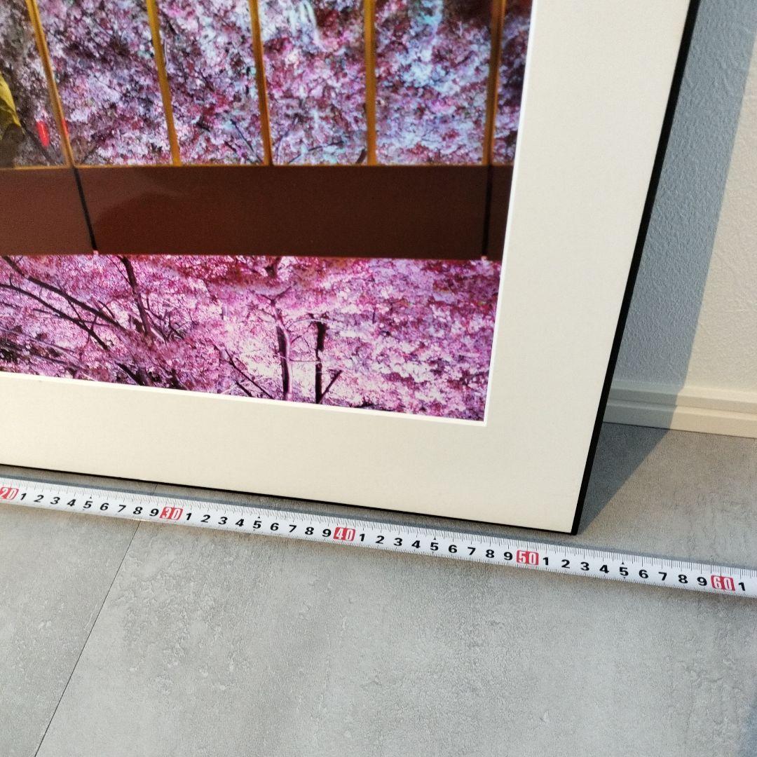 夜桜 写真作品 額装 アートパネル ピンク 紫 インテリア