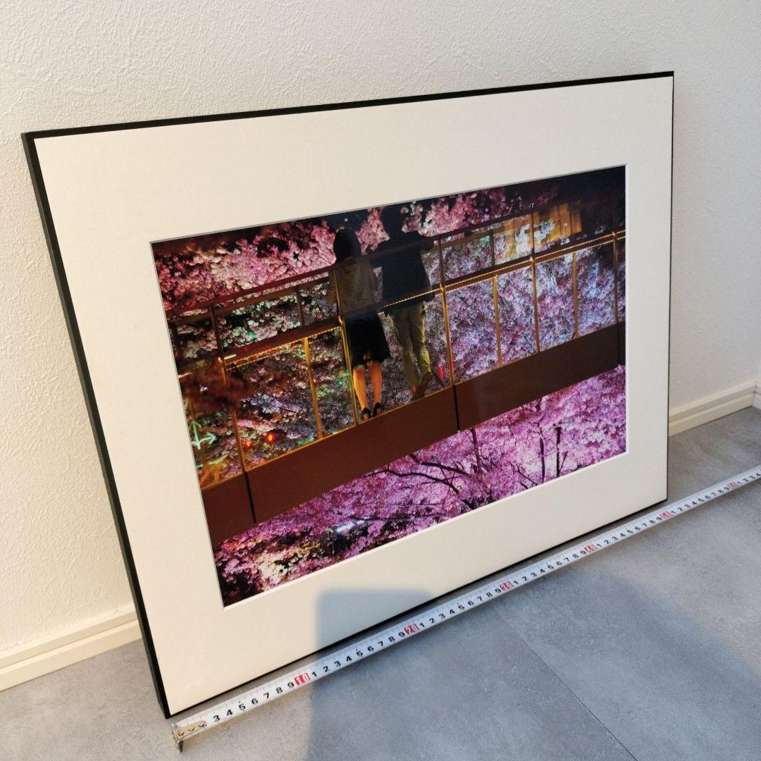 夜桜 写真作品 額装 アートパネル ピンク 紫 インテリア