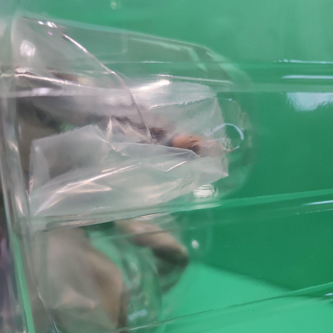 【新品】アサシン クリード ミラージュ コレクターズエディション フィギュア