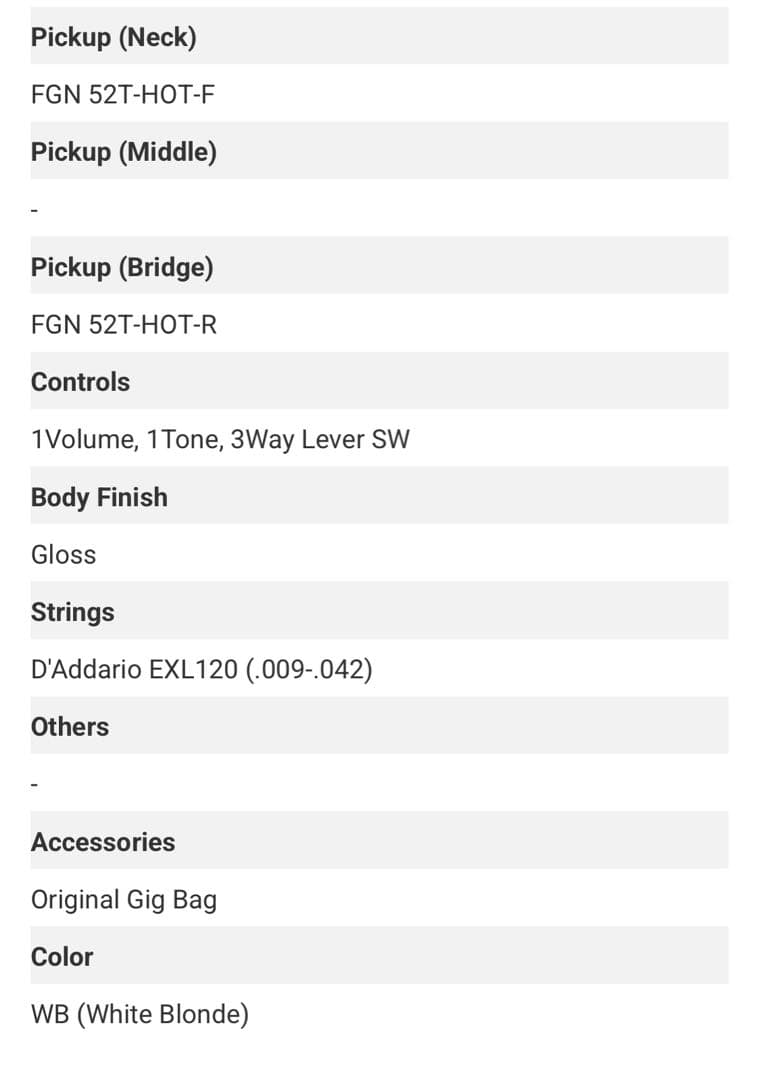 ギター FUJIGEN Telecaster Thinline white