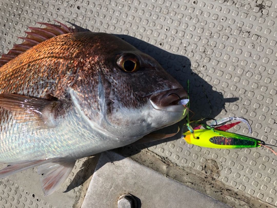 【説明欄必読】10個セット★ ギアラボ　タイラバ　フリップ　マダイ専用