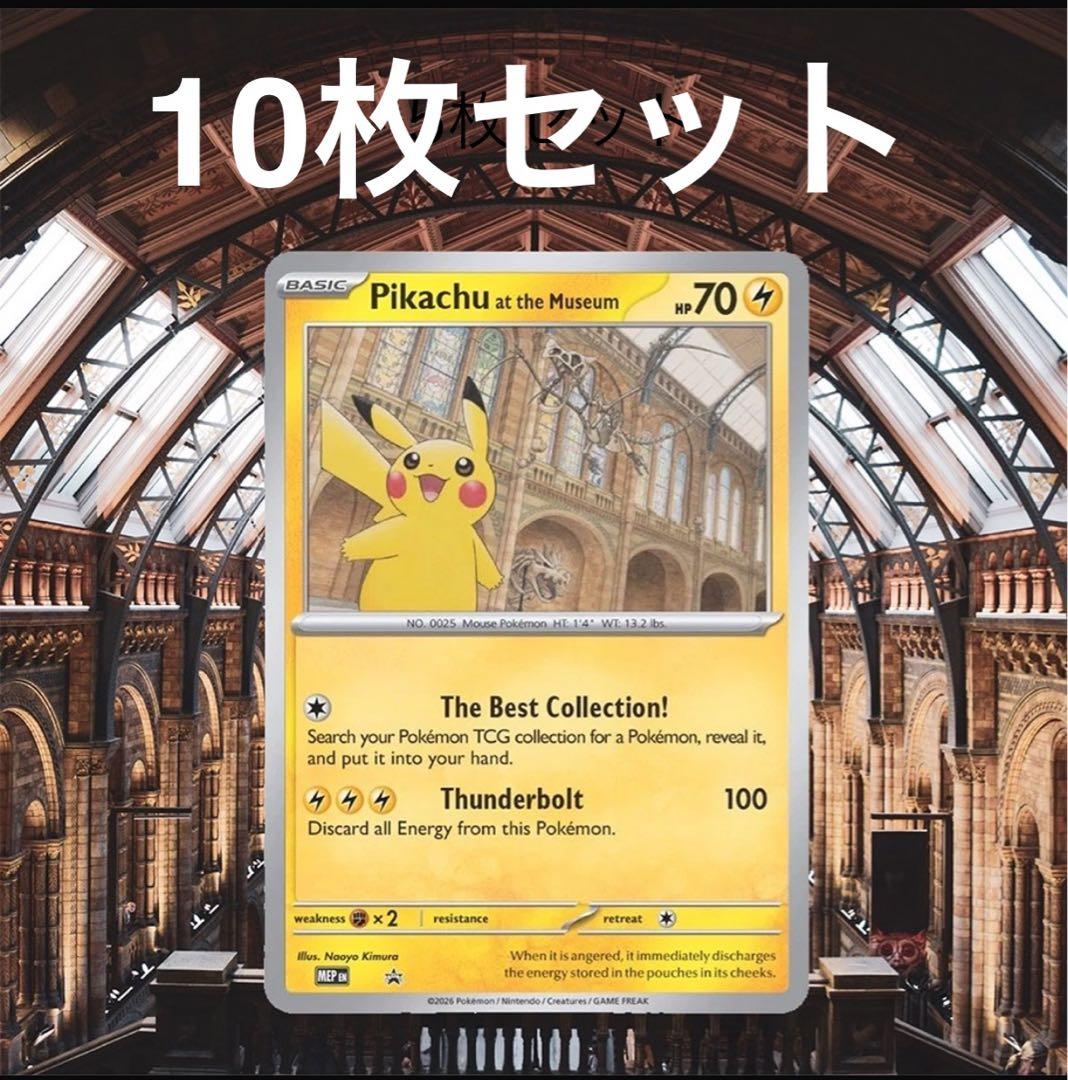 10枚セット Pikachu at the Museum ポケモン 自然史博物館
